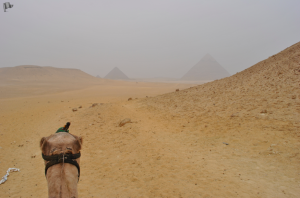 Captura de pantalla 2014-06-26 a la(s) 10.18.46 a.m.