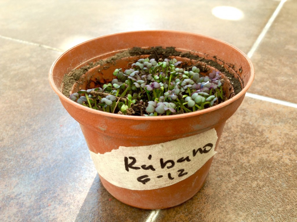 Foto: Edmeé García